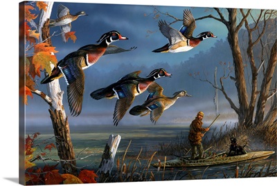 Woodies on the Wing