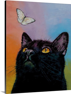 Black Cat - Butterfly
