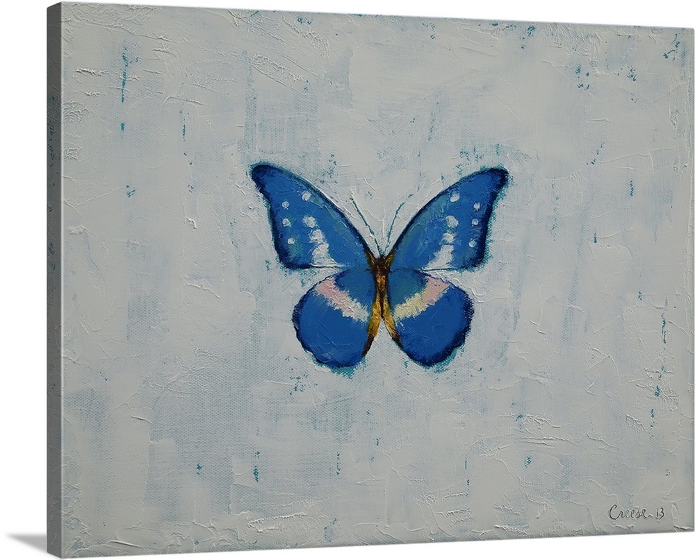 Blue Butterfly Wall Art, Canvas Prints, Framed Prints, Wall Peels