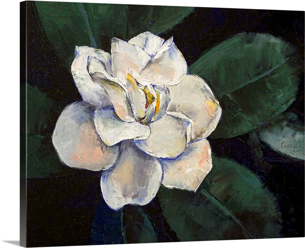 An oil painting of a large white flower with big green leaves that come out at the sides.