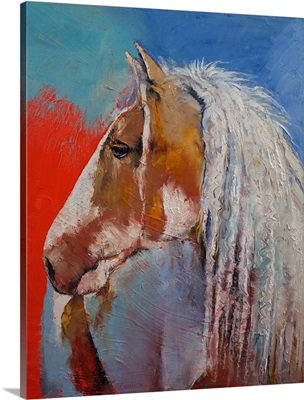 Gypsy Vanner - Horse Portrait