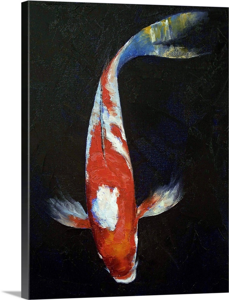 Kohaku Koi Fish Wall Art, Canvas Prints, Framed Prints, Wall Peels