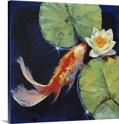 Koi and White Water Lily