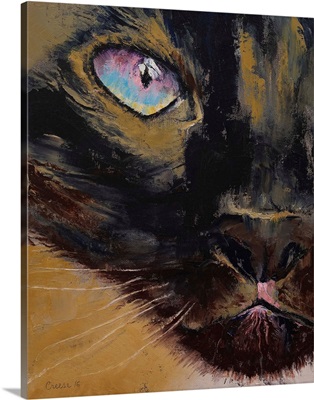 Siamese - Cat Portrait