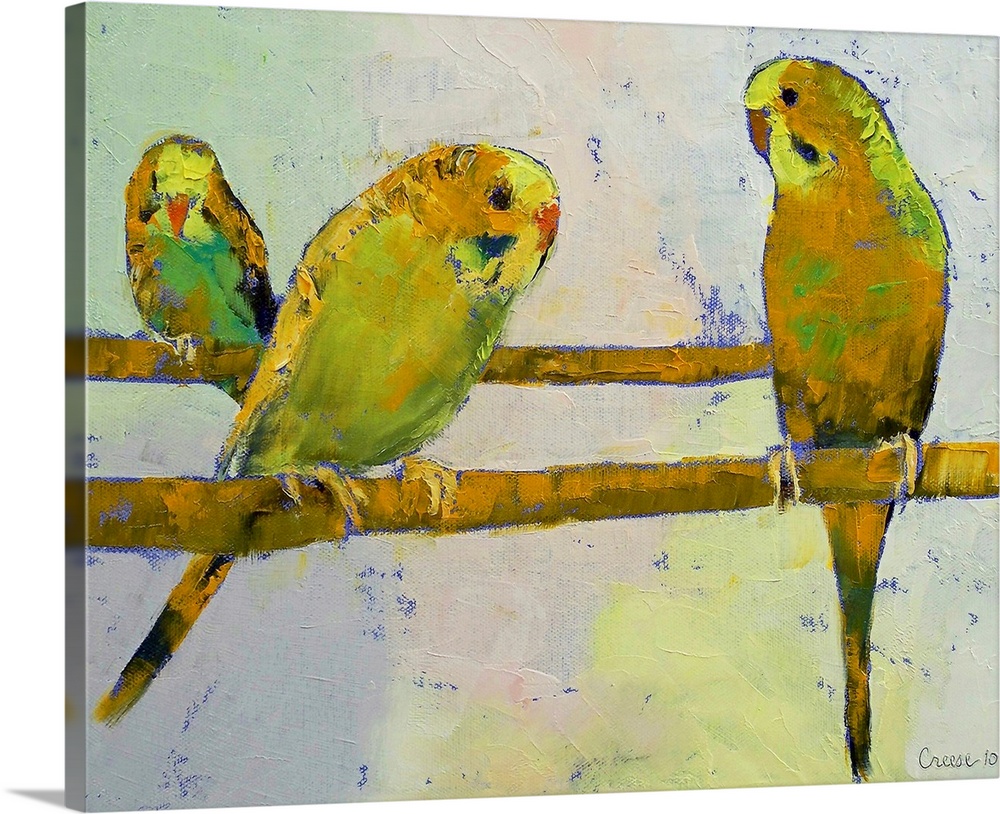 Original oil on canvas painting of three budgies on perches by American artist Michael Creese.