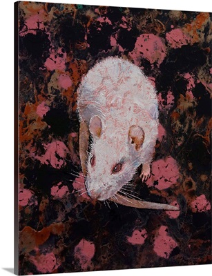 Hamster Poster by Michael Creese - Fine Art America