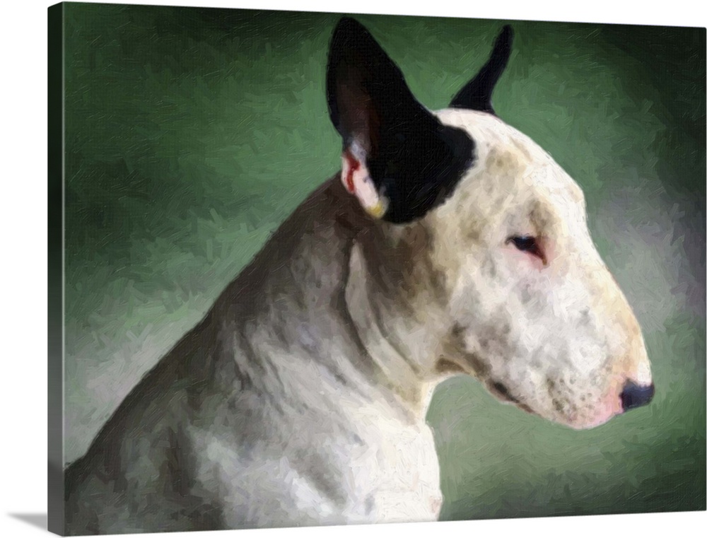 English Bull Terrier against green background, oil painting