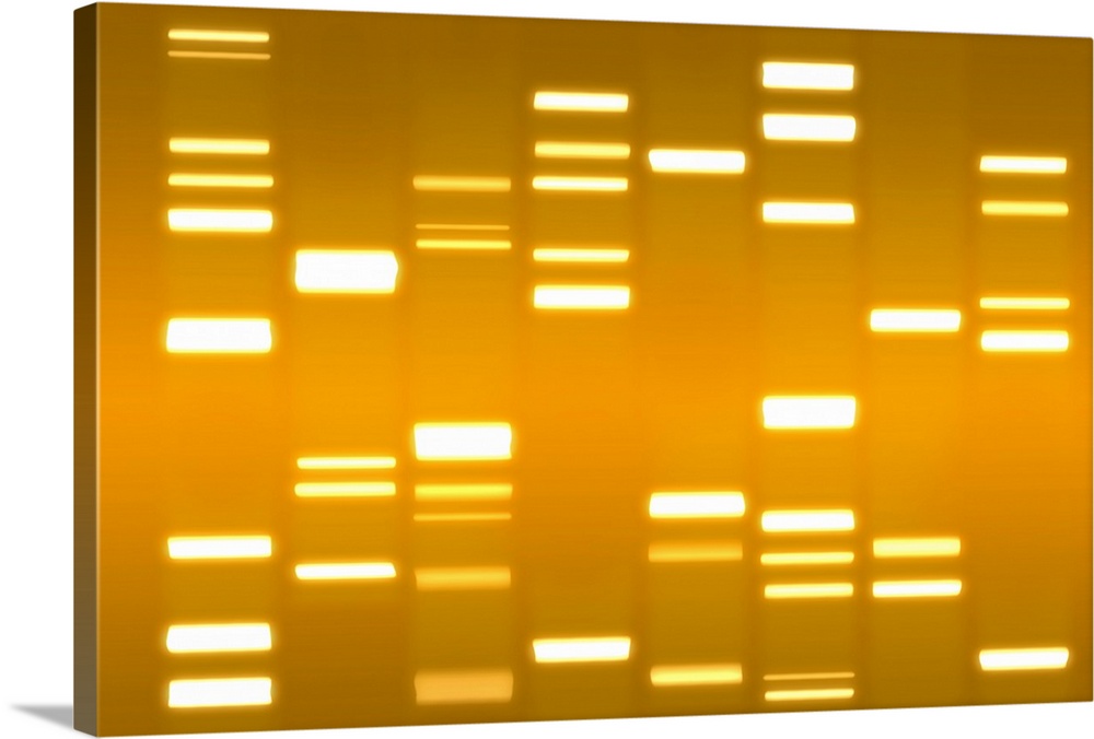 DNA canvas and art print. DNA contains the genetic instructions which control how every living organism develops and funct...
