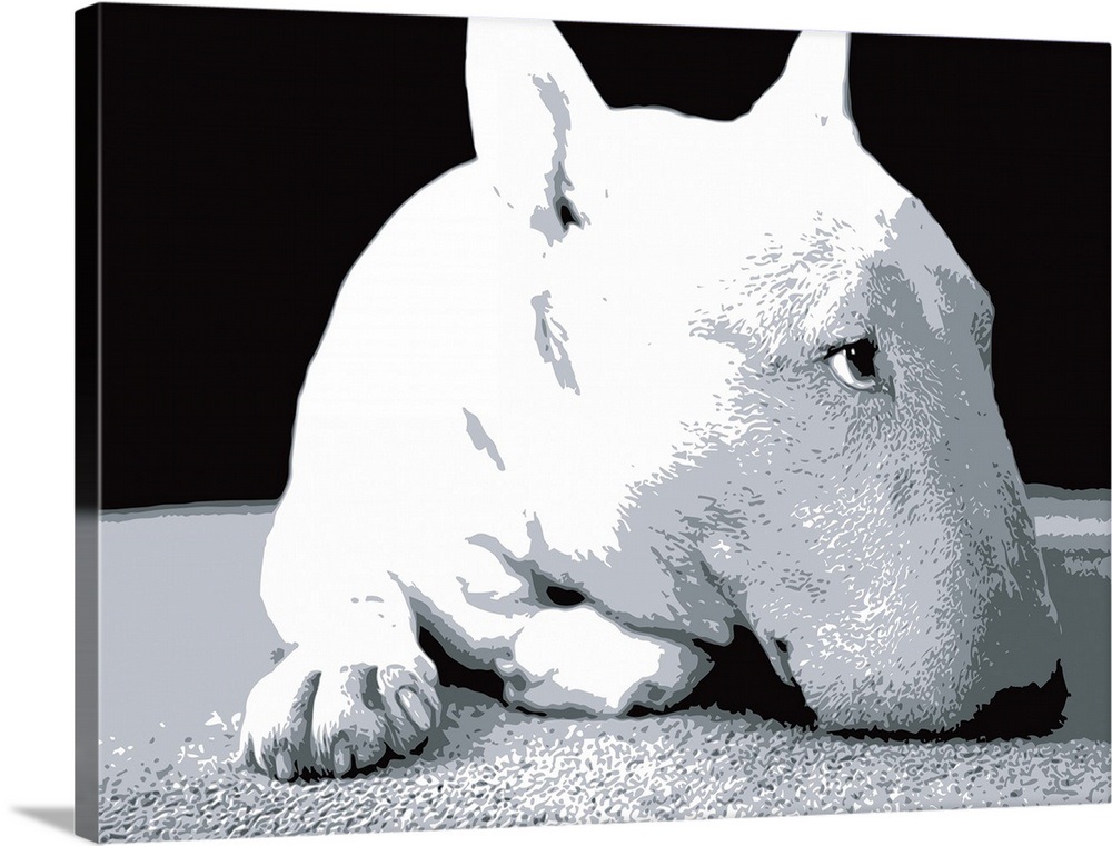 English Bull Terrier, Pop Art Print Wall Art, Canvas Prints, Framed