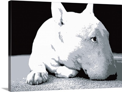 English Bull Terrier, Pop Art Print