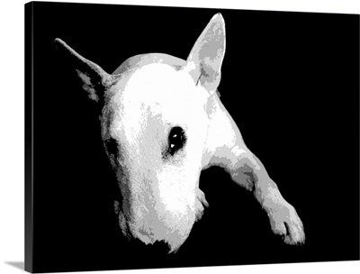 English Bull Terrier, Pop Art Print