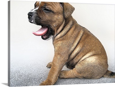 Staffordshire Bull Terrier Puppy, Art Print