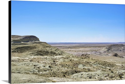 Argentina, Chubut: Petrified Forest Natural Monument