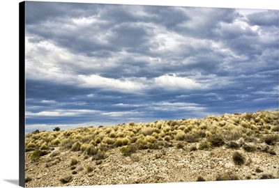 Argentina, Santa Cruz: Panoramas Of Patagonia Dry Steppe