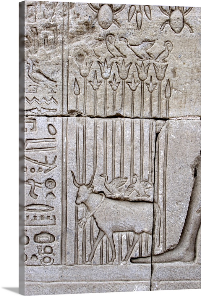 Temple of Denderah, Queen Cleopatra: human figures and hieroglyphics carved in the stone: an ox with birds on the back