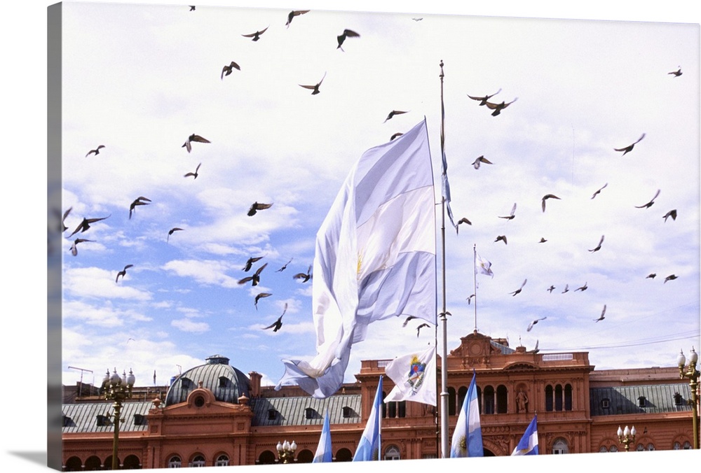 Buenos Aires, Argentina, birds fly above Casa Rosada presidential palace