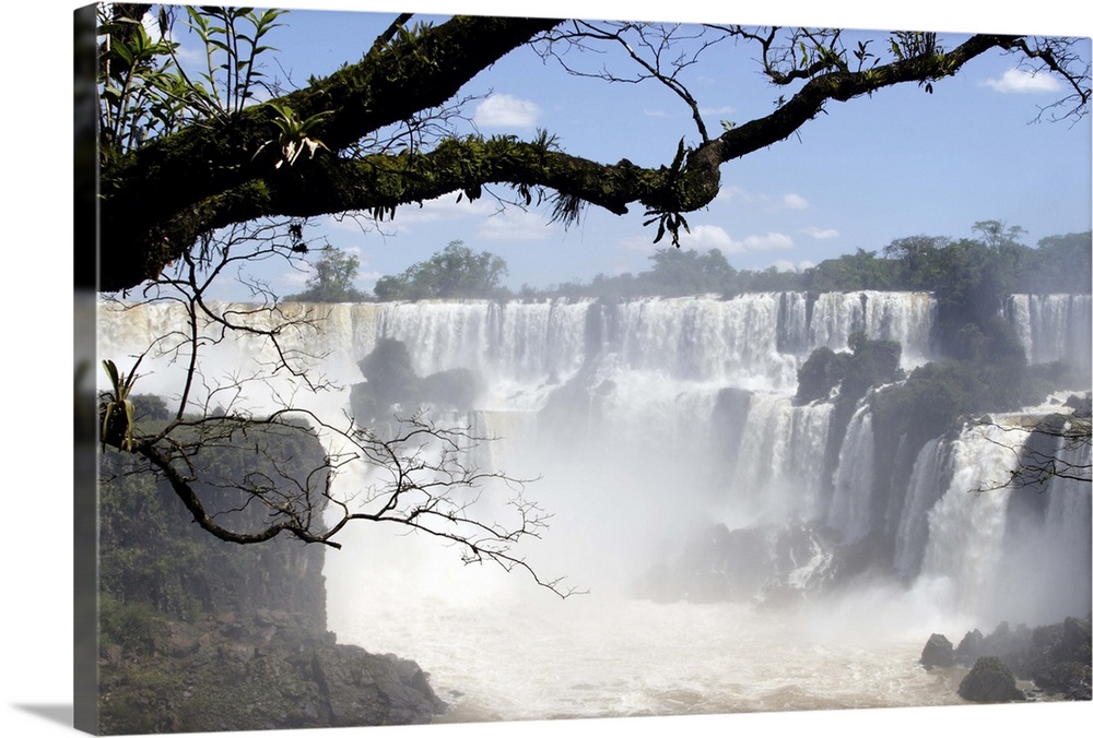 Iguassu Falls, waterfall jungle and tree