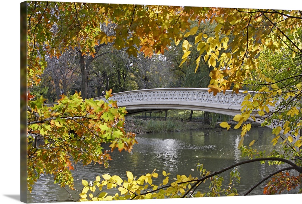 Photograph of bridge in Central Park seen through tree limbs.