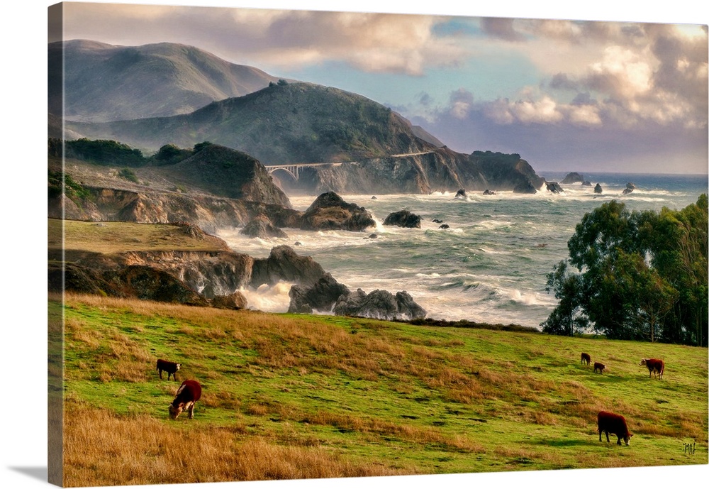 Cows graze just south of Rocky Point and north of the Rocky Creek Bridge in Big Sur. Acclaimed artist Michael Lynberg adds...