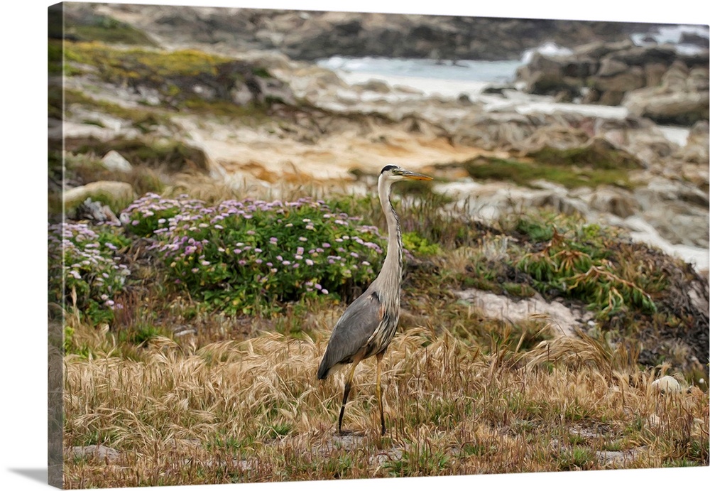 The colors of a Blue Heron blend with the spectacular coastline of Pebble Beach. Acclaimed artist Michael Lynberg adds an ...