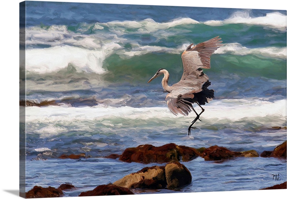 Walking along the ocean in Pebble Beach, one is often surrounded by wildlife, from pelicans gliding above the waves to mig...