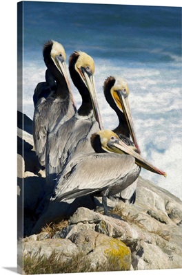 Fab Four Pebble Beach Pelicans