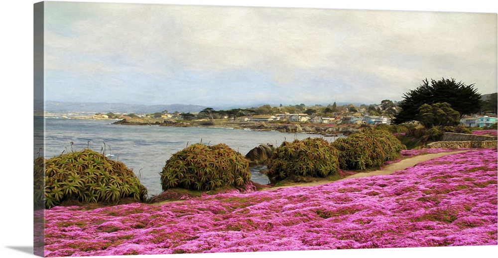 In the spring, miles of coastline of the quaint town of Pacific Grove are covered with pink flowers. The scenery is breath...