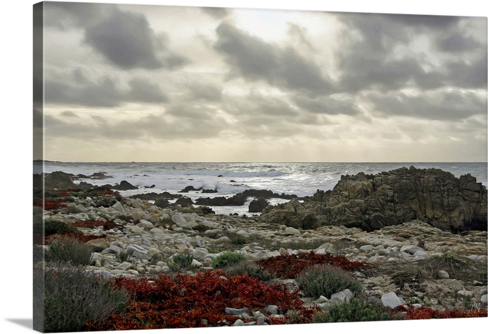A view of the coastline along the 17 Mile Drive in Pebble Beach, California, with a rich tapestry of textures and colors. ...