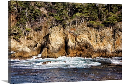 Wall Of Beauty Point Lobos