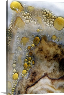 Brown and White Bubbles in Liquid