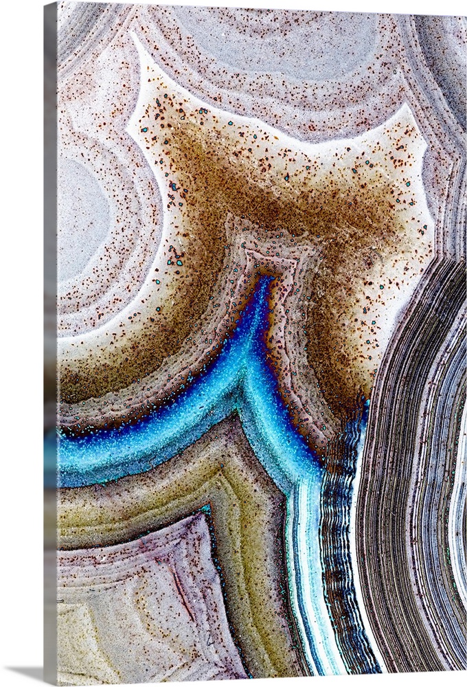 Vertical macro photograph of details of geological elements layering to create rings of texture similar to abstract artwork.