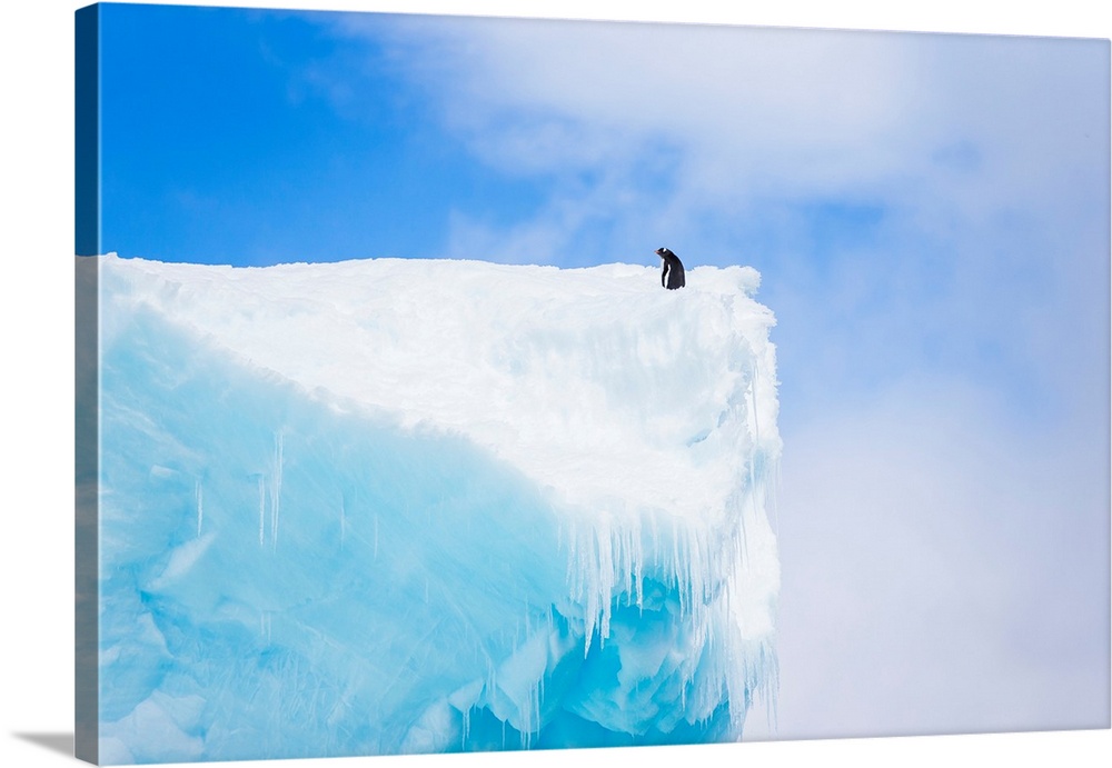 A lone penguin sits on top of a tall iceberg in Antarctica.