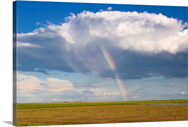 A surprise rainbow appears inside a light rain virga shower Great Big