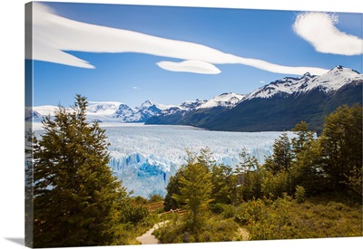 A view looking through the trees of the top of the Perito Moreno glacier in Argentina