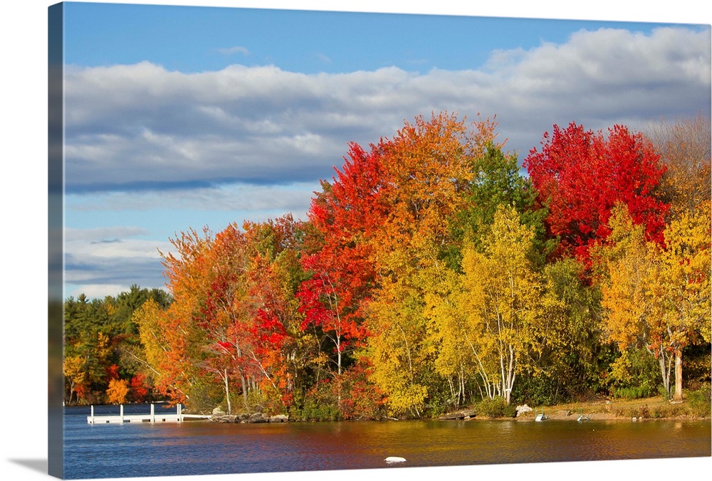 Brilliantly colored trees on a lake shore during autumn.