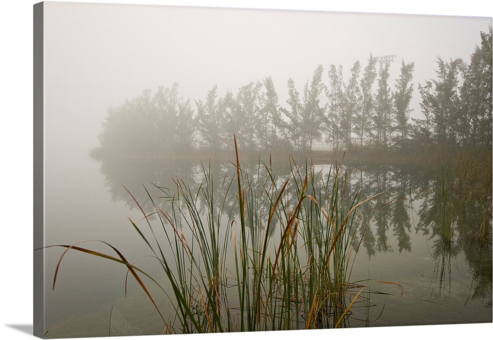 A foggy morning and still winds create a mirror-like image on a lake.