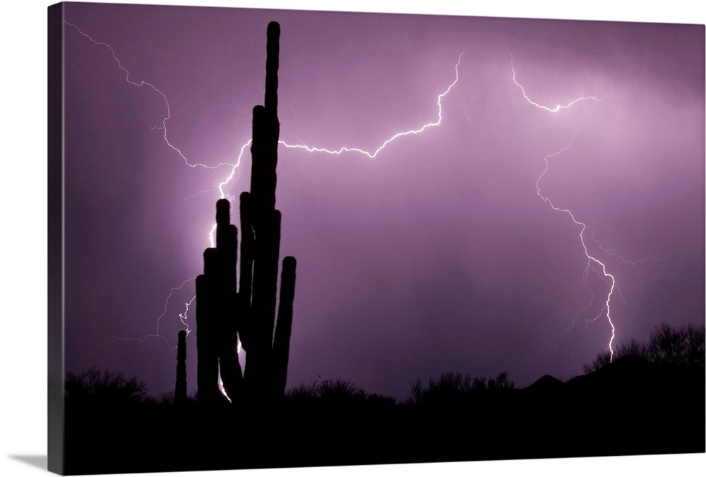 Large canvas photo art of lightning lighting up the night sky in the desert with cactus silhouettes in the foreground.
