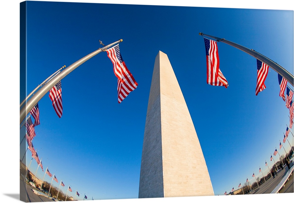 National Monument in Washington, District of Columbia, surrounded by American flags.