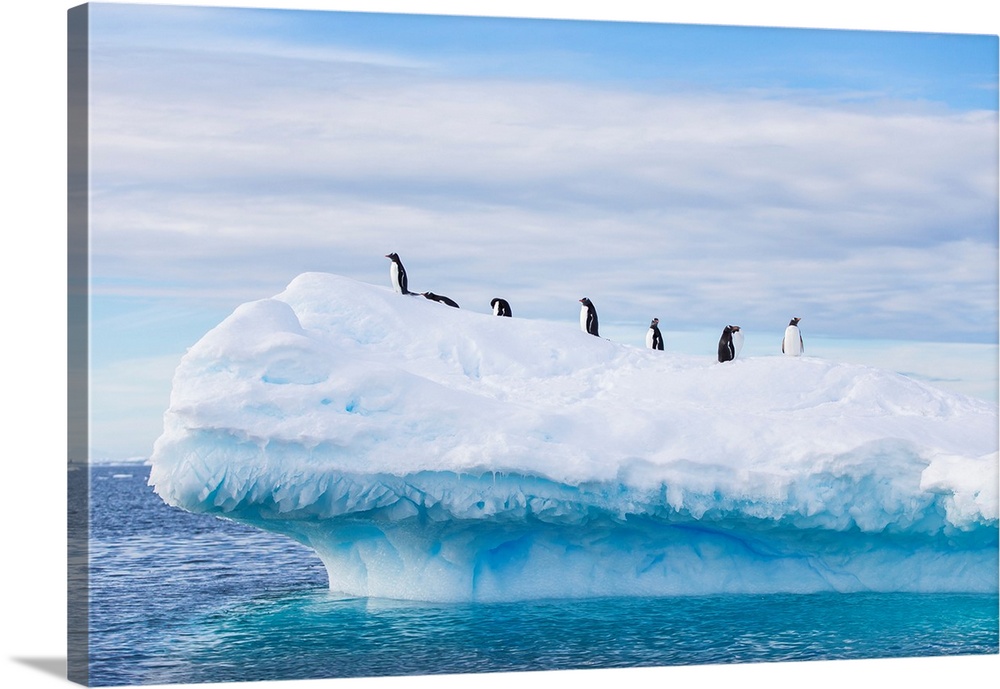 Penguins on top of an iceberg in Antarctica.