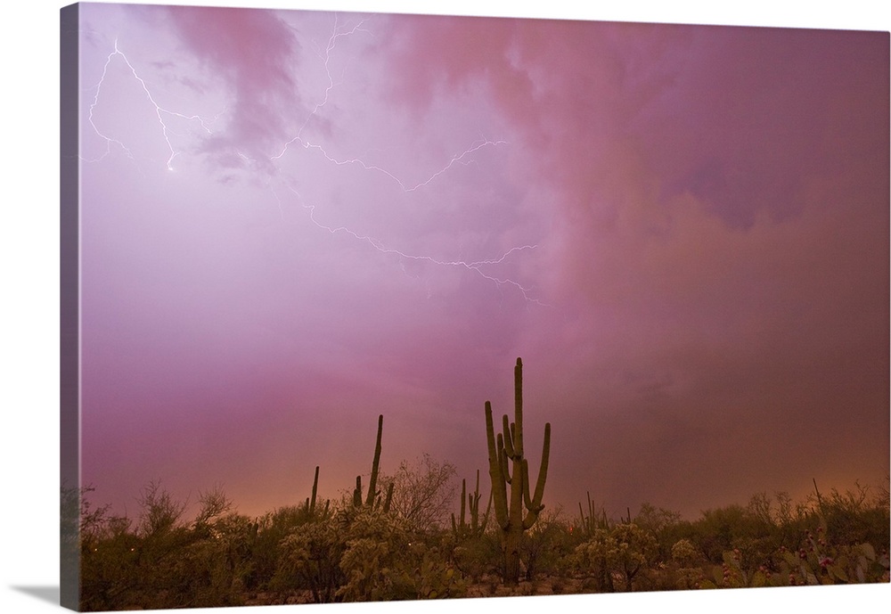 Lightning brightens the sky over the desert during a thunderstorm.