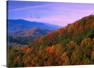 Appalachian Mountains ablaze with fall color Great Smoky Mountains National Park