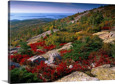 Atlantic coast from Cadillac Mountain, Acadia National Park, Maine