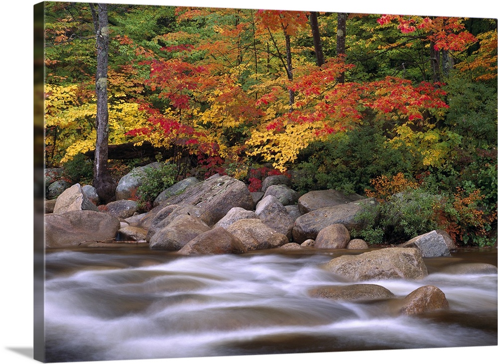 Photograph of rocky stream lined with large rock boulders and forest covered in bright fall foliage.