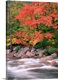 image thumbnail of Autumn along Swift River, White Mountains National Forest, New Hampshire