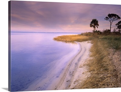 Beach along Saint Joseph's Bay, Florida
