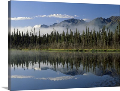 Boreal forest along lake edge, Nutzotin Mountains, Alaska