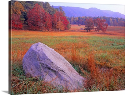 Boulder and deciduous forest, Cades Cove, Great Smoky Mountains National Park, Tennessee