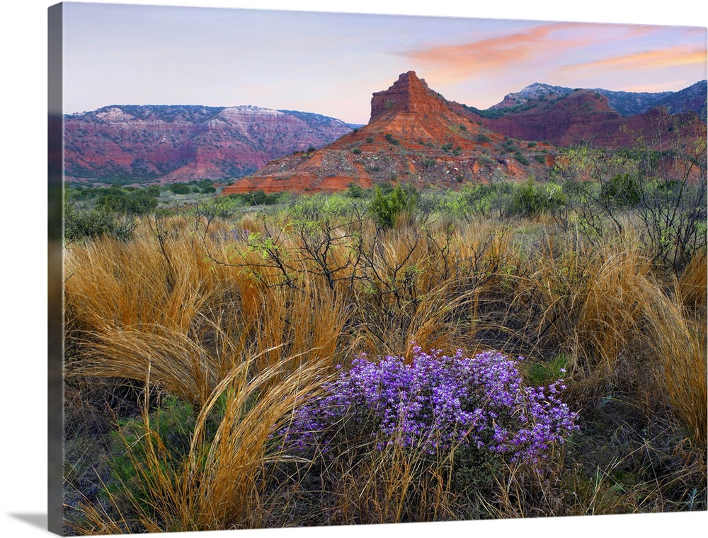 Horizontal photograph on a big canvas of wildflowers and tall grasses in front of large rock formations at Caprock Canyons...