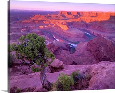 Colorado River flowing through canyons of Dead Horse Point State Park, Utah