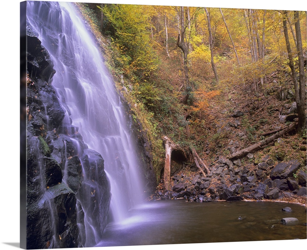 Rocky waterfall and creek in a grove of autumn-colored trees in the Southeastern United States.